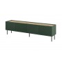 4D RTV cabinet ONDA 200x40xH54.35 green (standing or wall mounted)