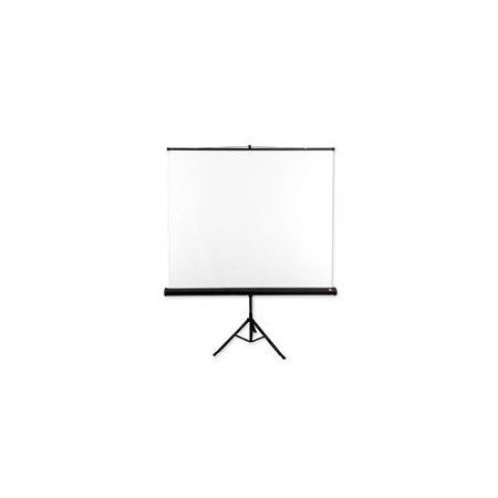 Avtek Tripod Standard 200 projection screen 1:1