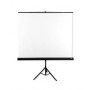 Avtek Tripod Standart 175 projection screen 1:1