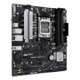 ASUS PRIME A620M-A-CSM AMD A620 Ranhura AM5 micro ATX