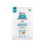 Dry food for adult dogs - BRIT Care Grain-free Adult Salmon - 3 kg