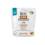 Dry food for older dogs, all breeds (over 7 years of age) Brit Care Dog Grain-Free Senior&Light Salmon 1kg