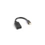 Lanberg AD-0003-BK DisplayPort cable 0.12 m Mini DisplayPort Black