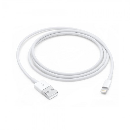 Apple Lightning to USB Cable (1? m)