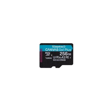 Kingston Technology 256GB microSDXC Canvas Go Plus 170R A2 U3 V30 Single Pack w/o ADP