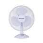 PLATFORM SCALE  WT-1040 300 KG