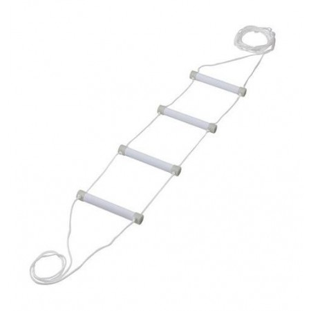 Rehabilitation bed ladder fluorescent