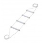 Rehabilitation bed ladder fluorescent