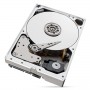 Seagate IronWolf Pro ST10000NT001 unidade de disco rígido 10 TB 7200 RPM 256 MB 3.5" Serial ATA III