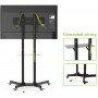 Techly 309982 Supporto TV a parete 165,1 cm (65") Nero