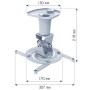 Techly Staffa Universale a Soffitto per Proiettore, Bianco (ICA-PM 100WH)