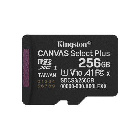 Kingston Technology 256GB micSDXC Canvas Select Plus Gen3 150R A1 (Adattatore SD non incluso)
