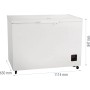 Gorenje FH30DAW Arca horizontal Independente 297 l D Branco