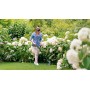 Bosch EasyGrassCut 18V-26 26 cm Bateria Preto, Verde