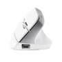 Trust Bayo+ rato Escritório Mão direita RF Wireless + Bluetooth Ótico 2400 DPI
