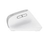 Trust Bayo+ rato Escritório Mão direita RF Wireless + Bluetooth Ótico 2400 DPI