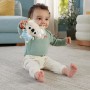 Fisher-Price HRB15 tapete & ginásio para bebés Plástico Multicor