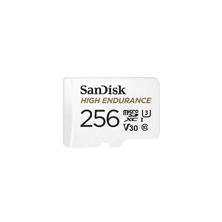 SanDisk High Endurance 256 GB MicroSDXC UHS-I Class 10