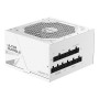 GIGABYTE UD1000GM PG5 V2 ICE fonte de alimentação 1000 W 20+4 pin ATX ATX Branco