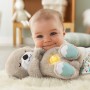 Fisher-Price FXC66 peluche