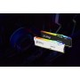 Kingston Technology FURY Beast RGB módulo de memória 32 GB 1 x 32 GB DDR5 6000 MT s