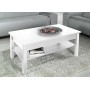 Cama coffee table UNI 110/60/47 white mat