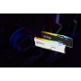 Kingston Technology FURY Beast RGB módulo de memória 16 GB 1 x 16 GB DDR5 3000 MHz