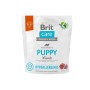 BRIT Care Hypoallergenic Puppy Lamb  - dry dog food - 1 kg