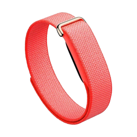 Watch Google Fitbit Air - Berry