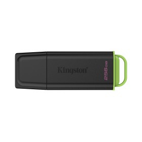 Kingston Technology DataTraveler Exodia unidade de memória USB 256 GB USB Type-A 3.2 Gen 1 (3.1 Gen 1) Preto, Verde