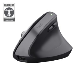 Trust Bayo+ rato Escritório Mão direita RF Wireless + Bluetooth Ótico 2400 DPI