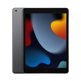 Tablet Apple iPad 10.2 9.Gen (2021) 256GB WiFi - Grey