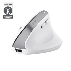 Trust Bayo+ rato Escritório Mão direita RF Wireless + Bluetooth Ótico 2400 DPI