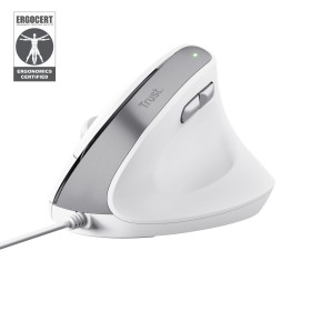 Trust Bayo II rato Escritório Mão direita USB Type-A Ótico 2400 DPI