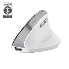 Trust Bayo II rato Escritório Mão direita RF Wireless Ótico 2400 DPI
